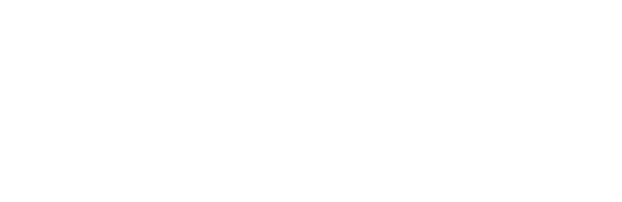 Zendesk Premier Solution Provider